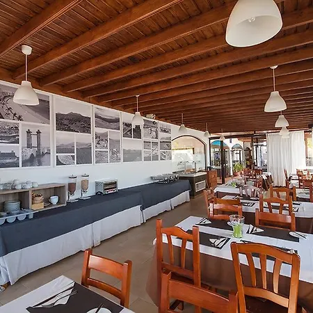 Tabaiba Daire Costa Teguise