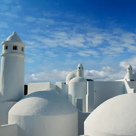 Tabaiba Daire Costa Teguise